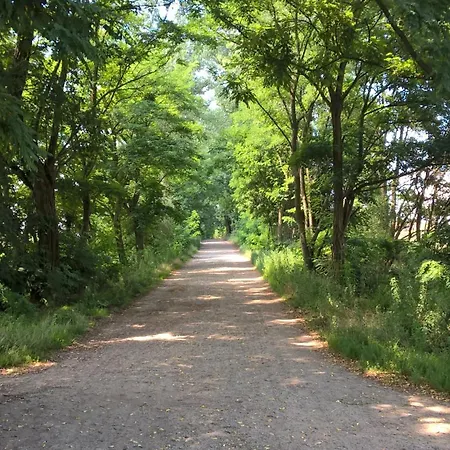 Toms Апартаменты Шёнайхе