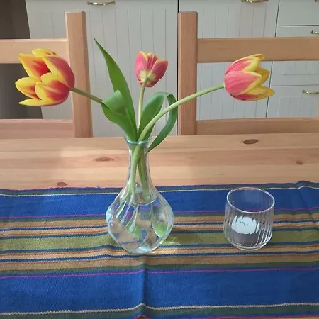Toms Stuga Schwedenhäuschen