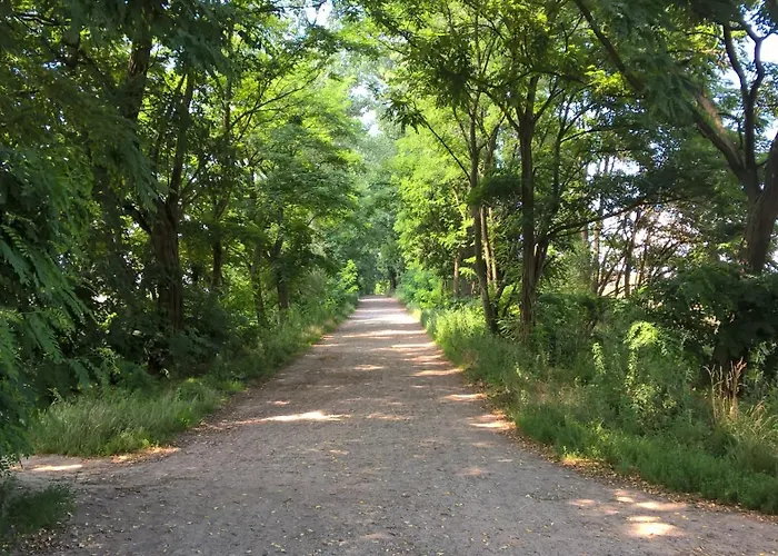 Toms Apartamento Schöneiche